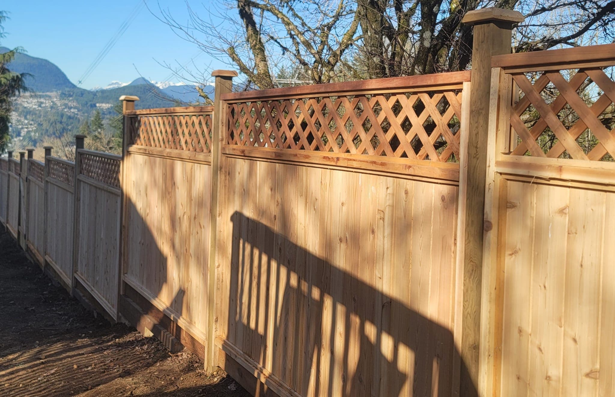 White Vinyl Fence