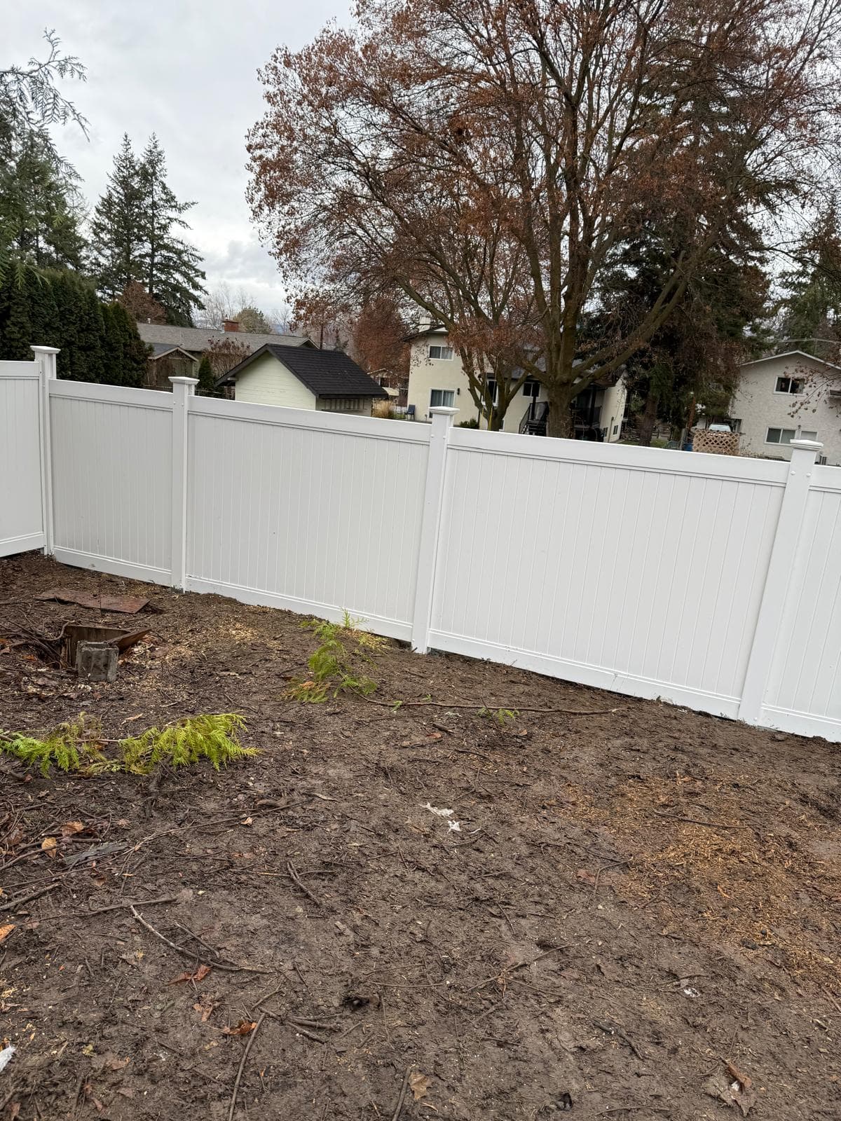 Metal Panel with Cedar Border